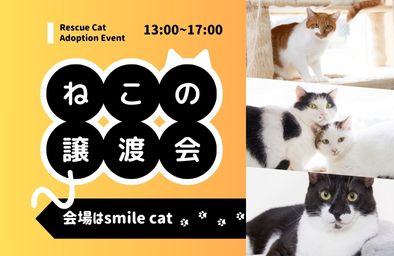smilecat（スマイルキャット）_ねこの譲渡会開催のお知らせ【９月】