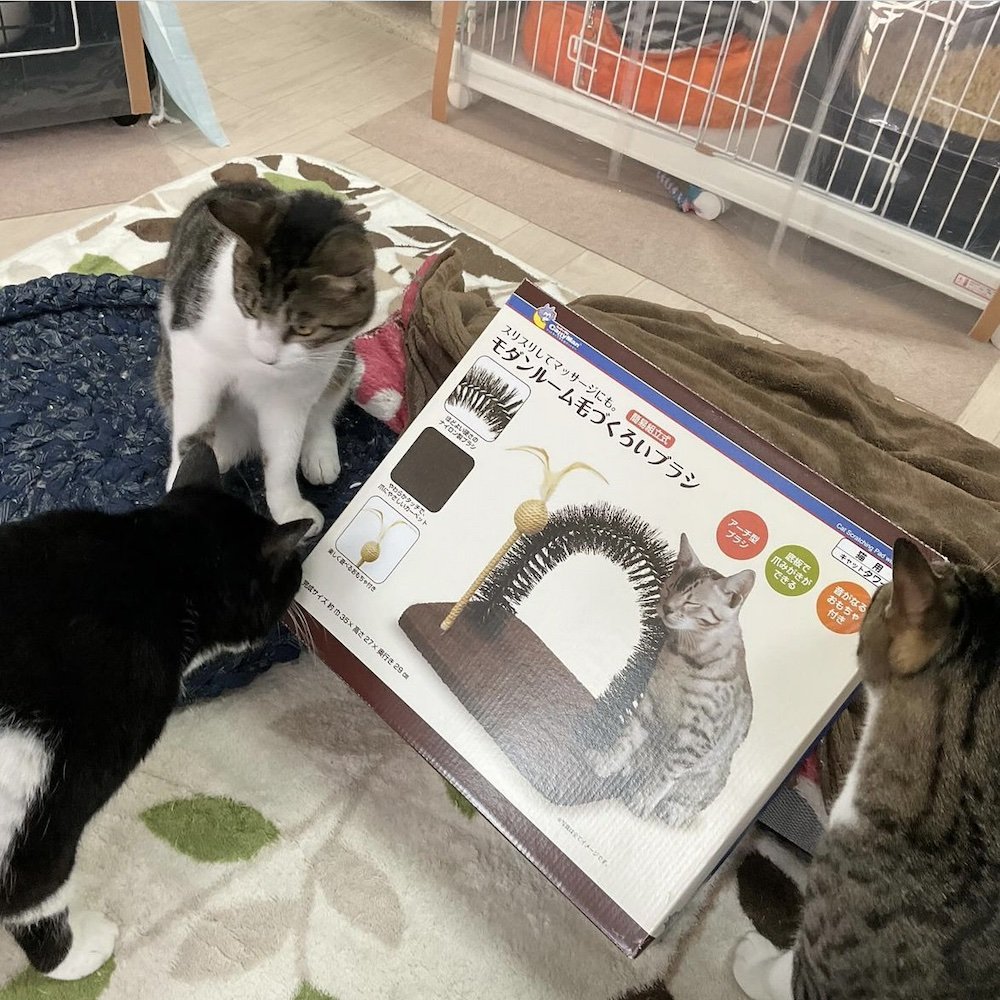 smilecat（スマイルキャット）_3月物資支援いただきました！