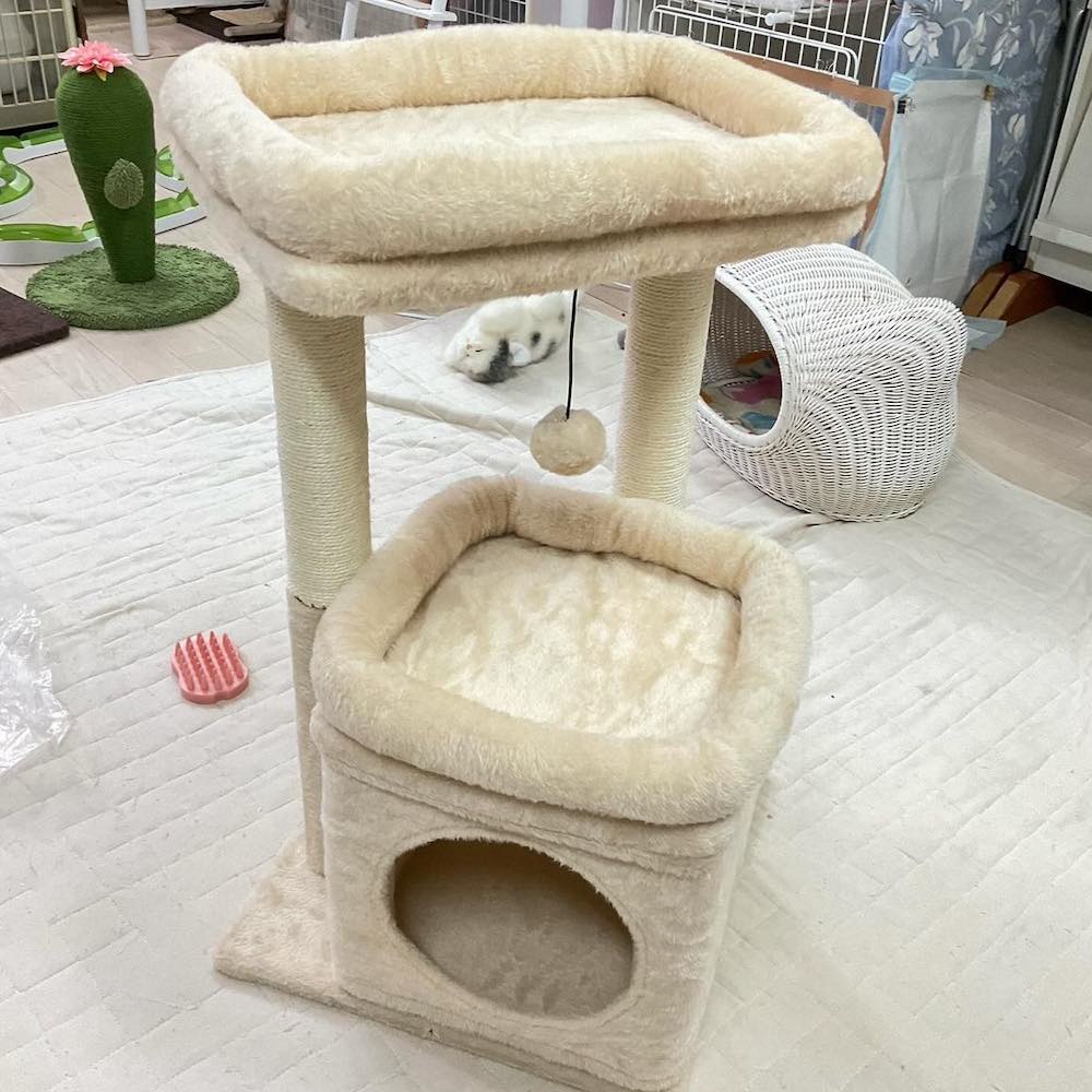 smilecat（スマイルキャット）_6月物資支援いただきました！