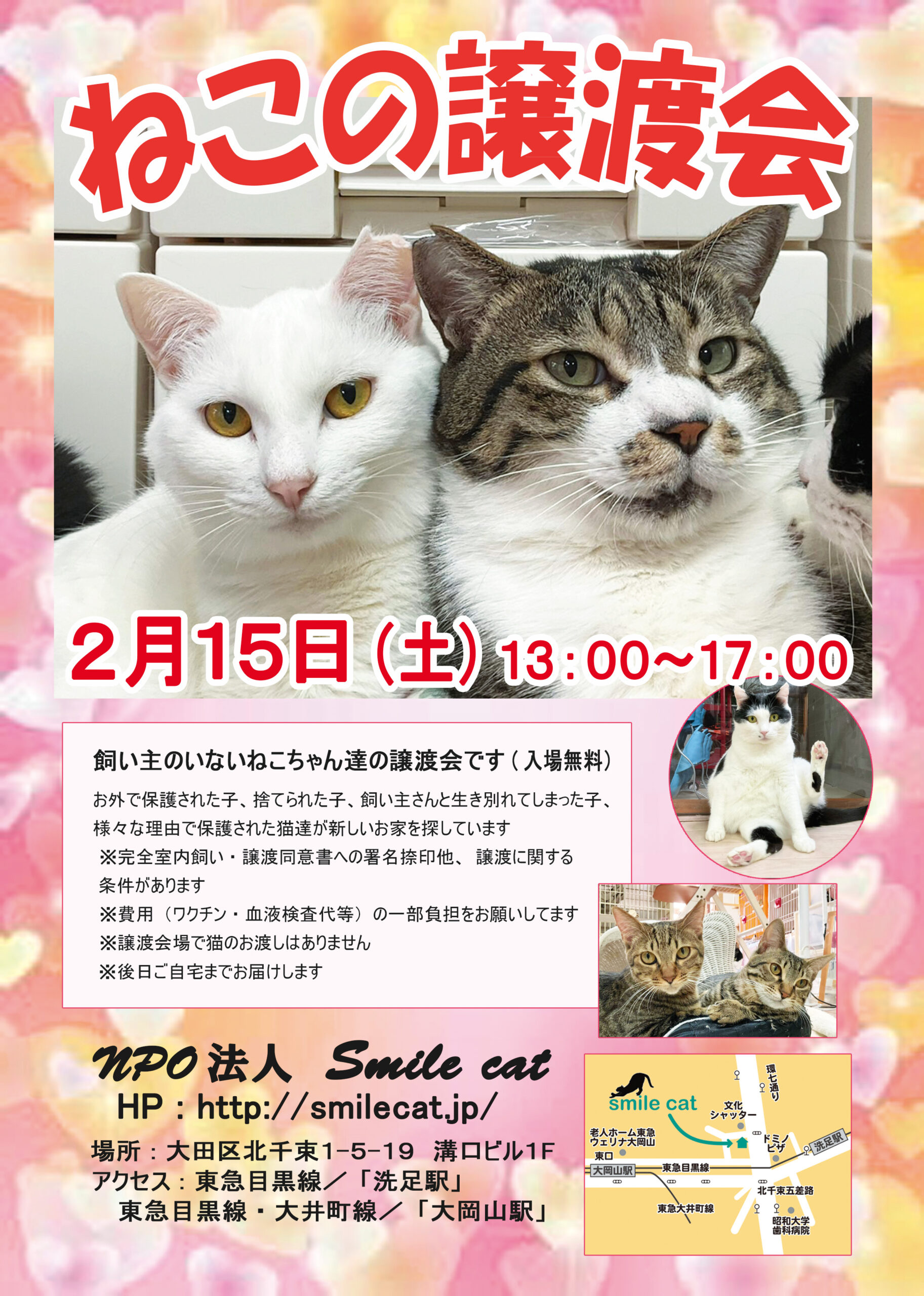 smilecat（スマイルキャット）_ねこの譲渡会開催のお知らせ【２月】