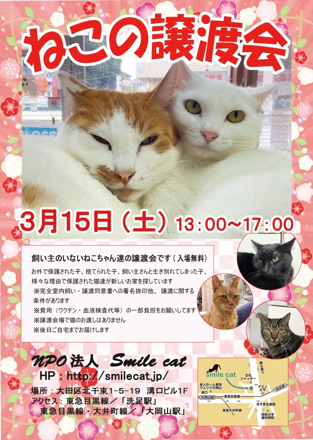 smilecat（スマイルキャット）_ねこの譲渡会開催のお知らせ【３月】