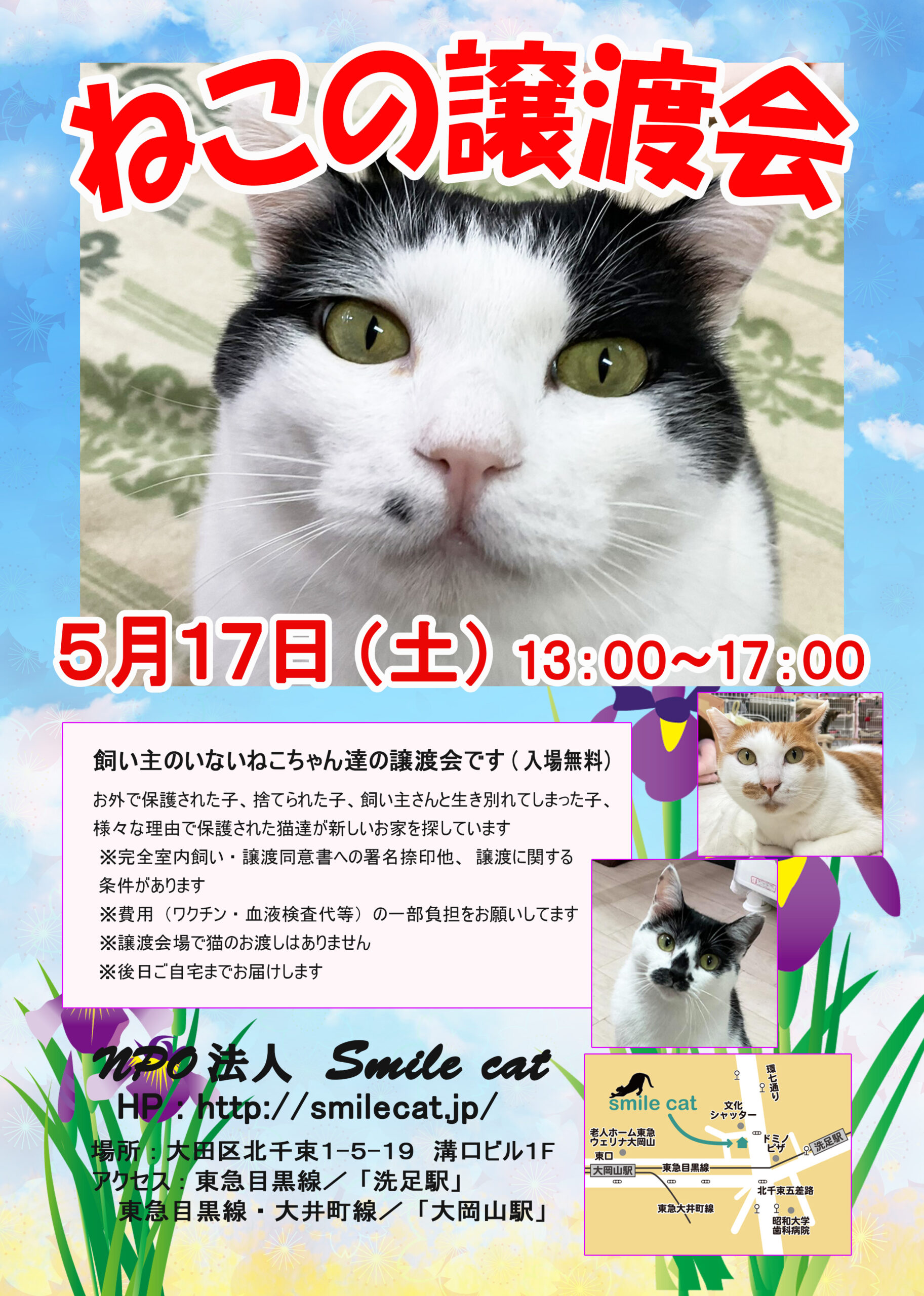 smilecat（スマイルキャット）_ねこの譲渡会開催のお知らせ【5月】