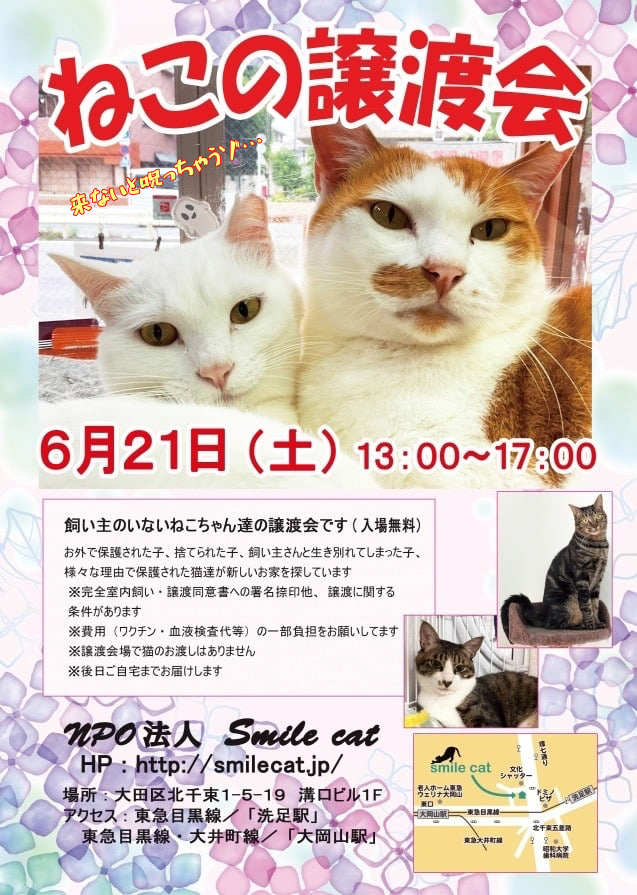 smilecat（スマイルキャット）_ねこの譲渡会開催のお知らせ【6月】