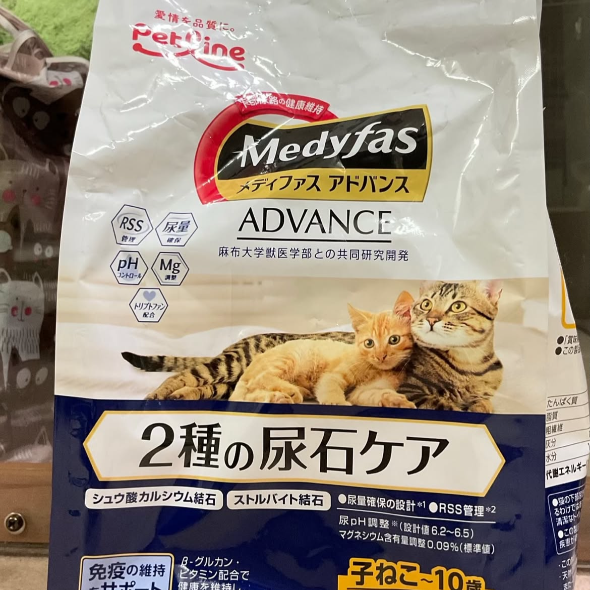 smilecat（スマイルキャット）_9月物資支援いただきました！
