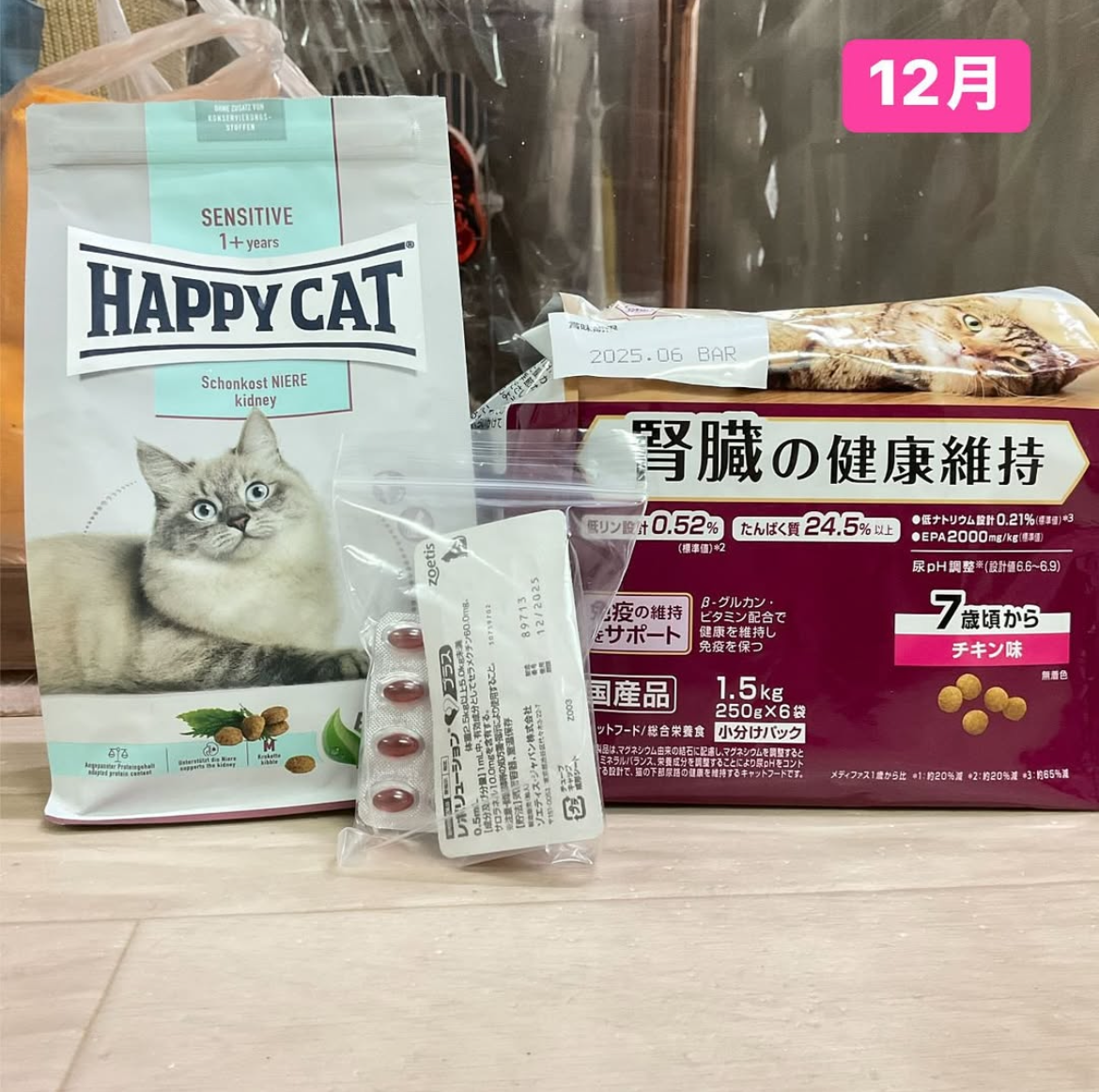smilecat（スマイルキャット）_12月物資支援いただきました！