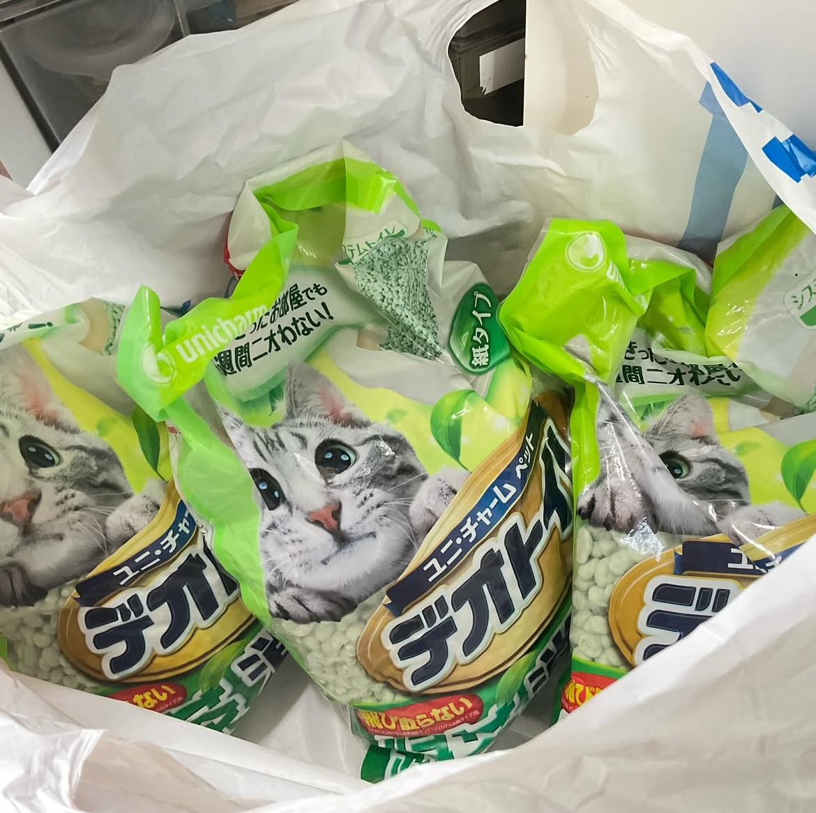 smilecat（スマイルキャット）_2月物資支援いただきました！