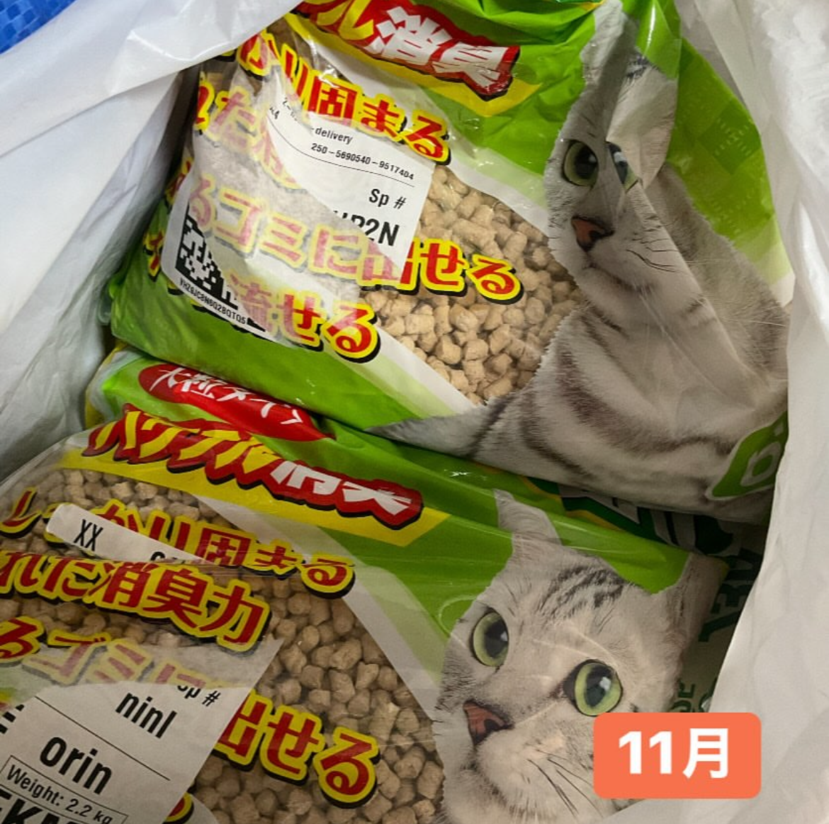 smilecat（スマイルキャット）_11月物資支援いただきました！