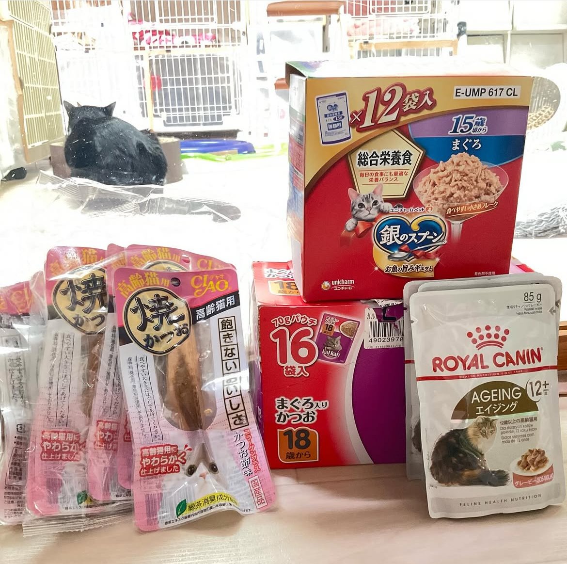 smilecat（スマイルキャット）_2月物資支援いただきました！