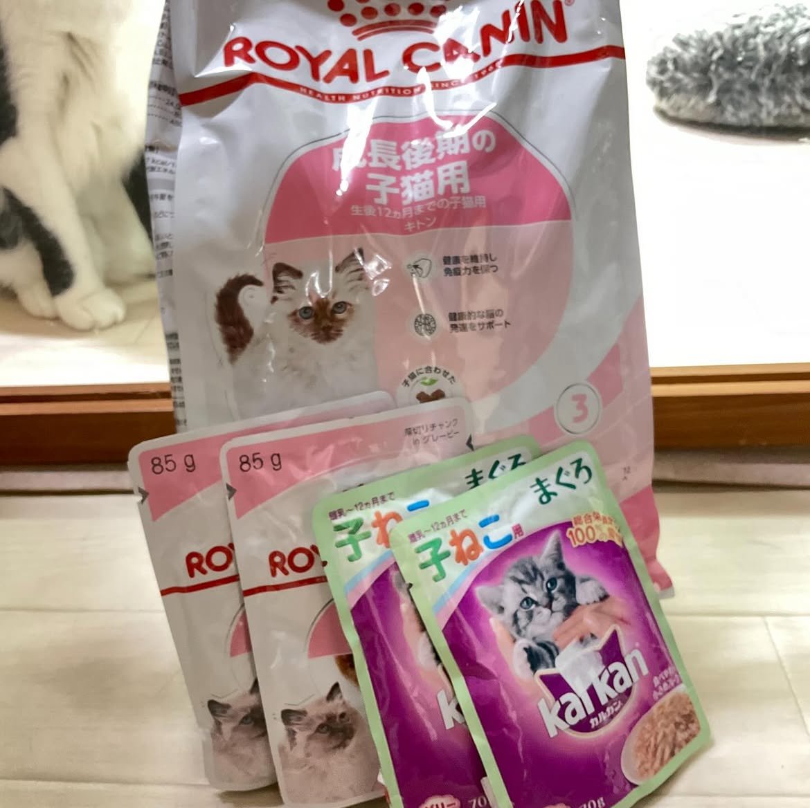 smilecat（スマイルキャット）_3月物資支援いただきました！