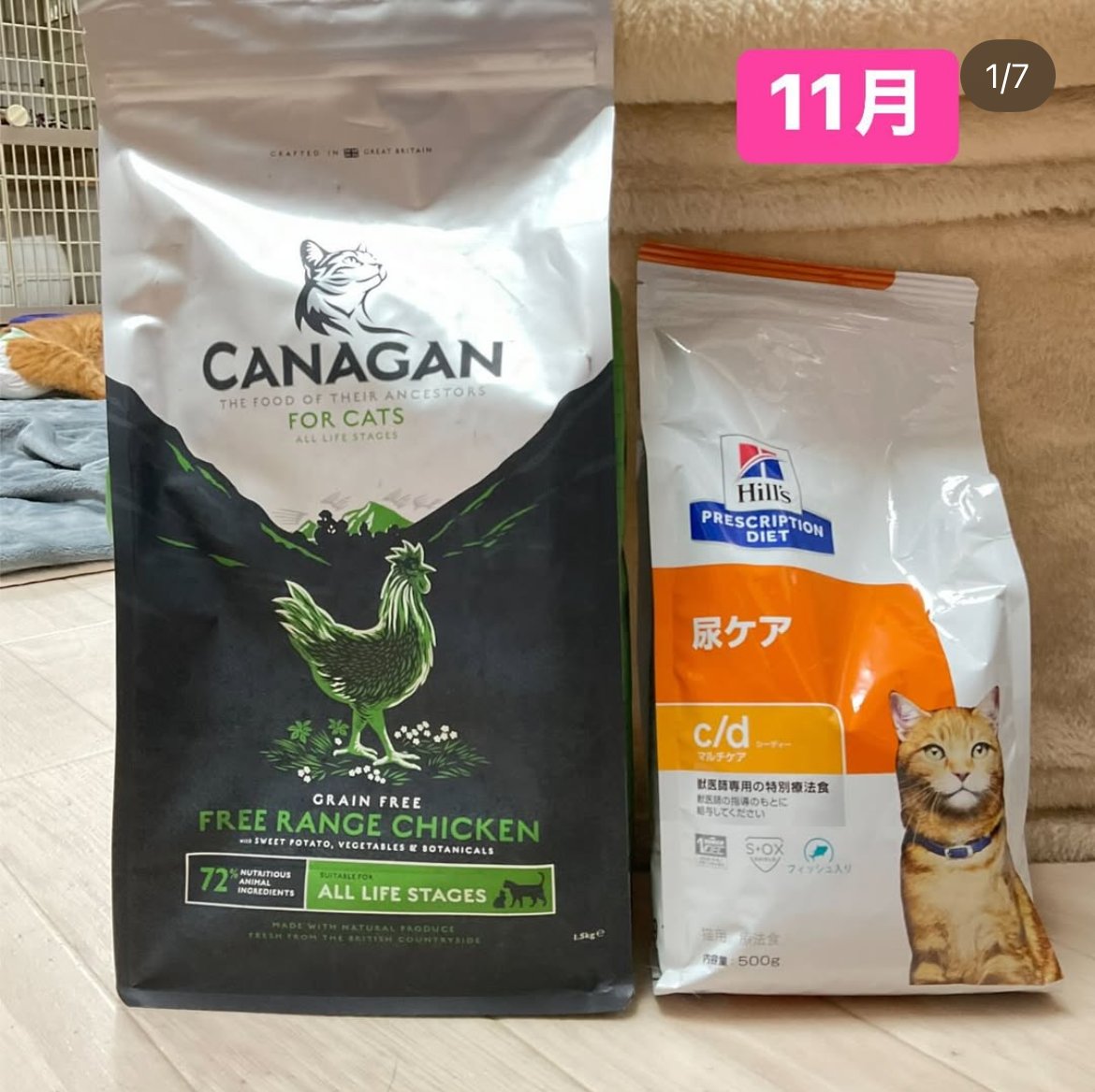 smilecat（スマイルキャット）_11月物資支援いただきました！