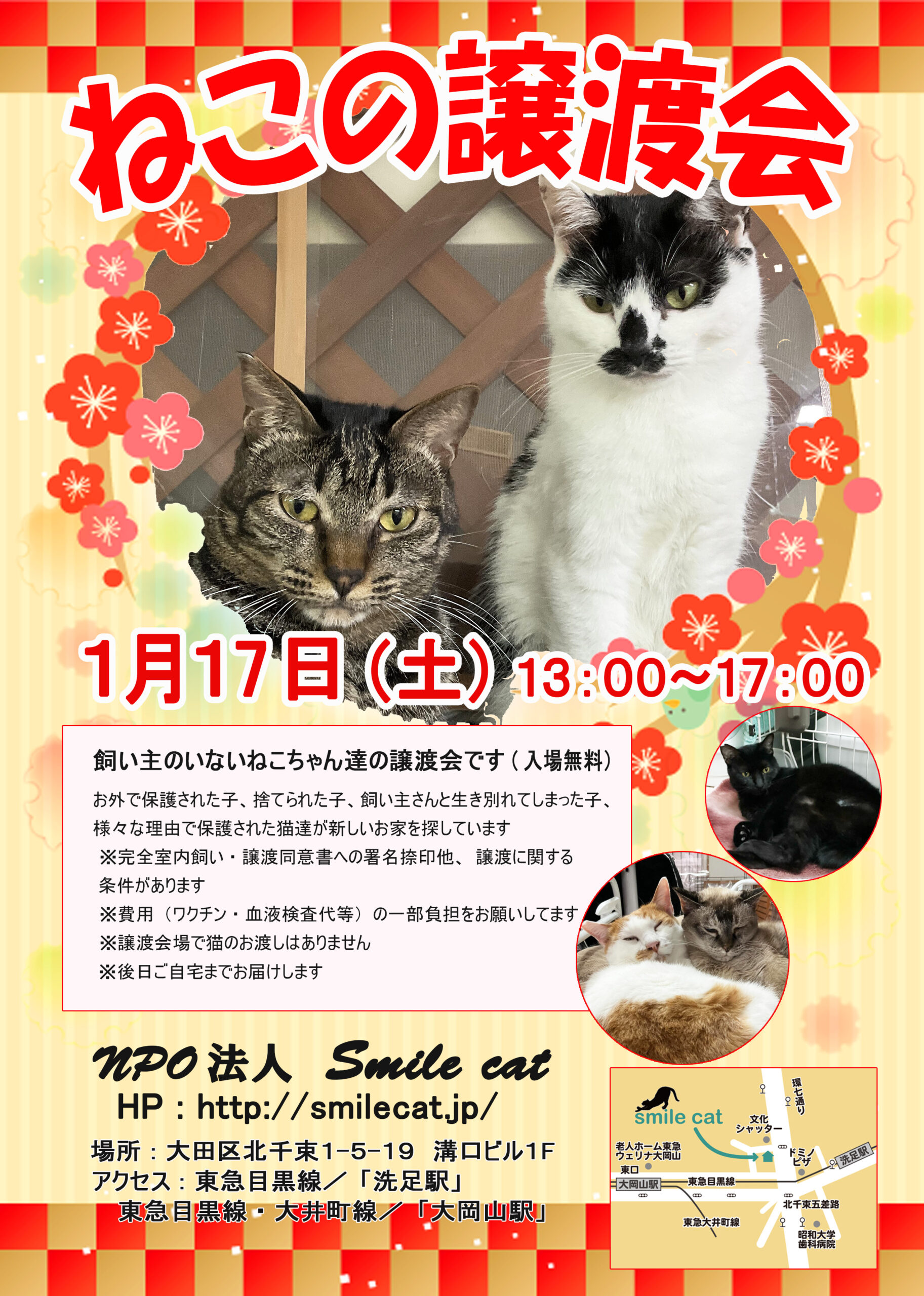 smilecat（スマイルキャット）_【１月】ねこの譲渡会