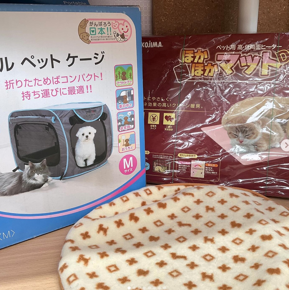 smilecat（スマイルキャット）_11月物資支援いただきました！