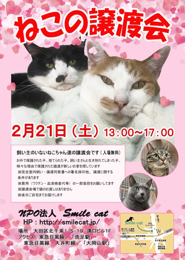 smilecat（スマイルキャット）_【2月】ねこの譲渡会