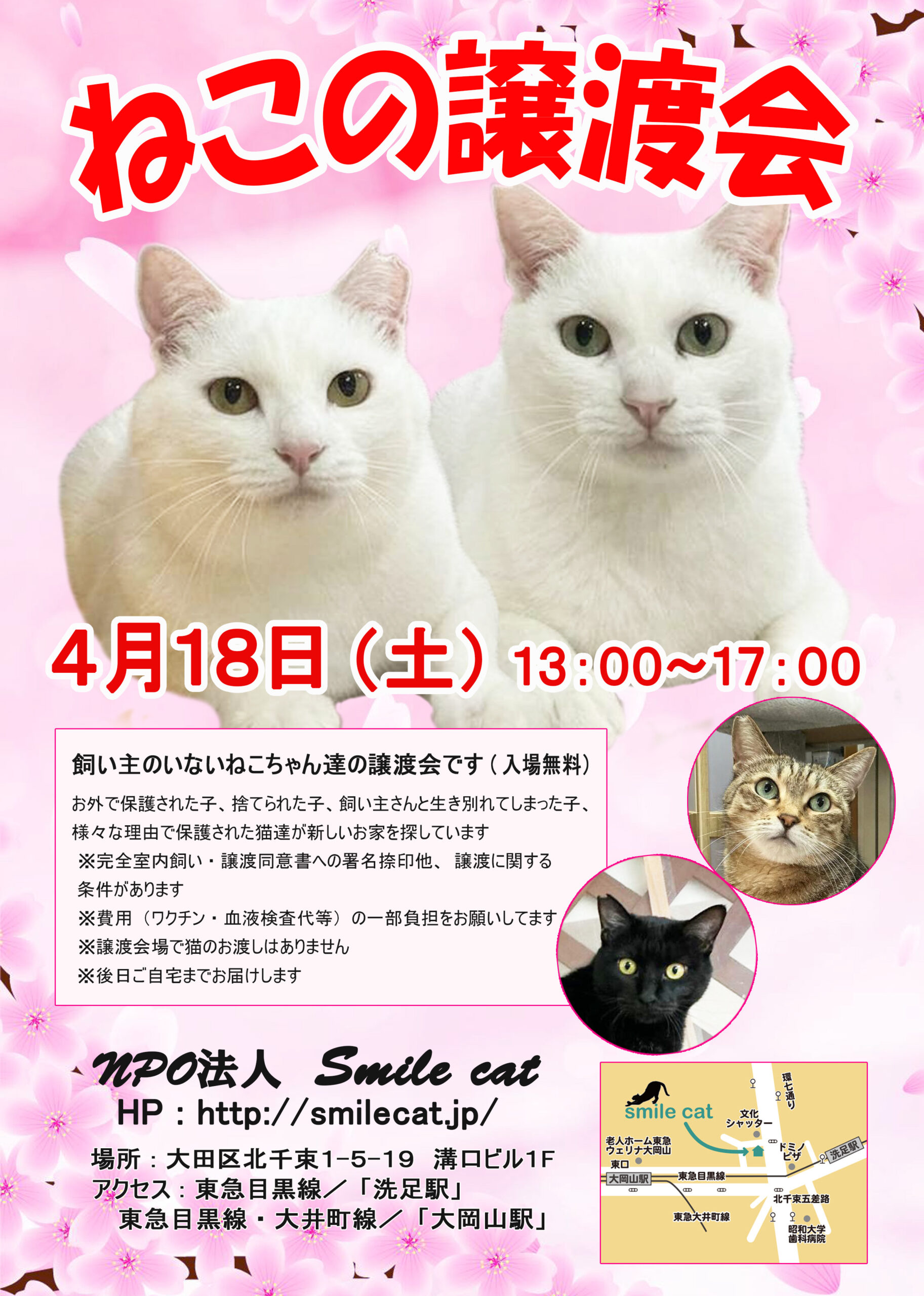 smilecat（スマイルキャット）_【４月】ねこの譲渡会