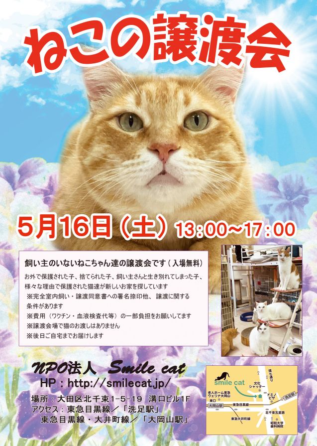 smilecat（スマイルキャット）_【５月】ねこの譲渡会