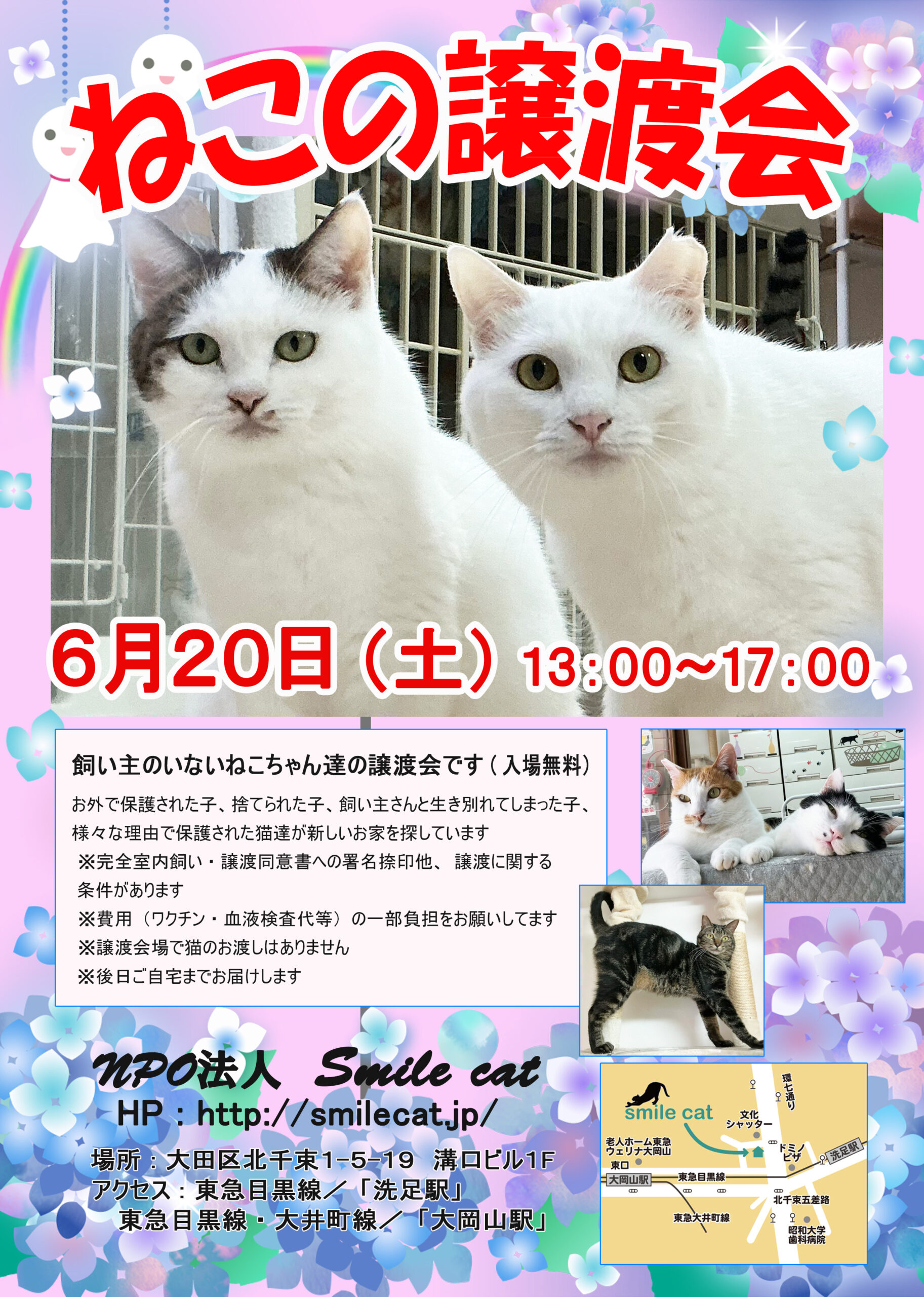 smilecat（スマイルキャット）_【６月】ねこの譲渡会