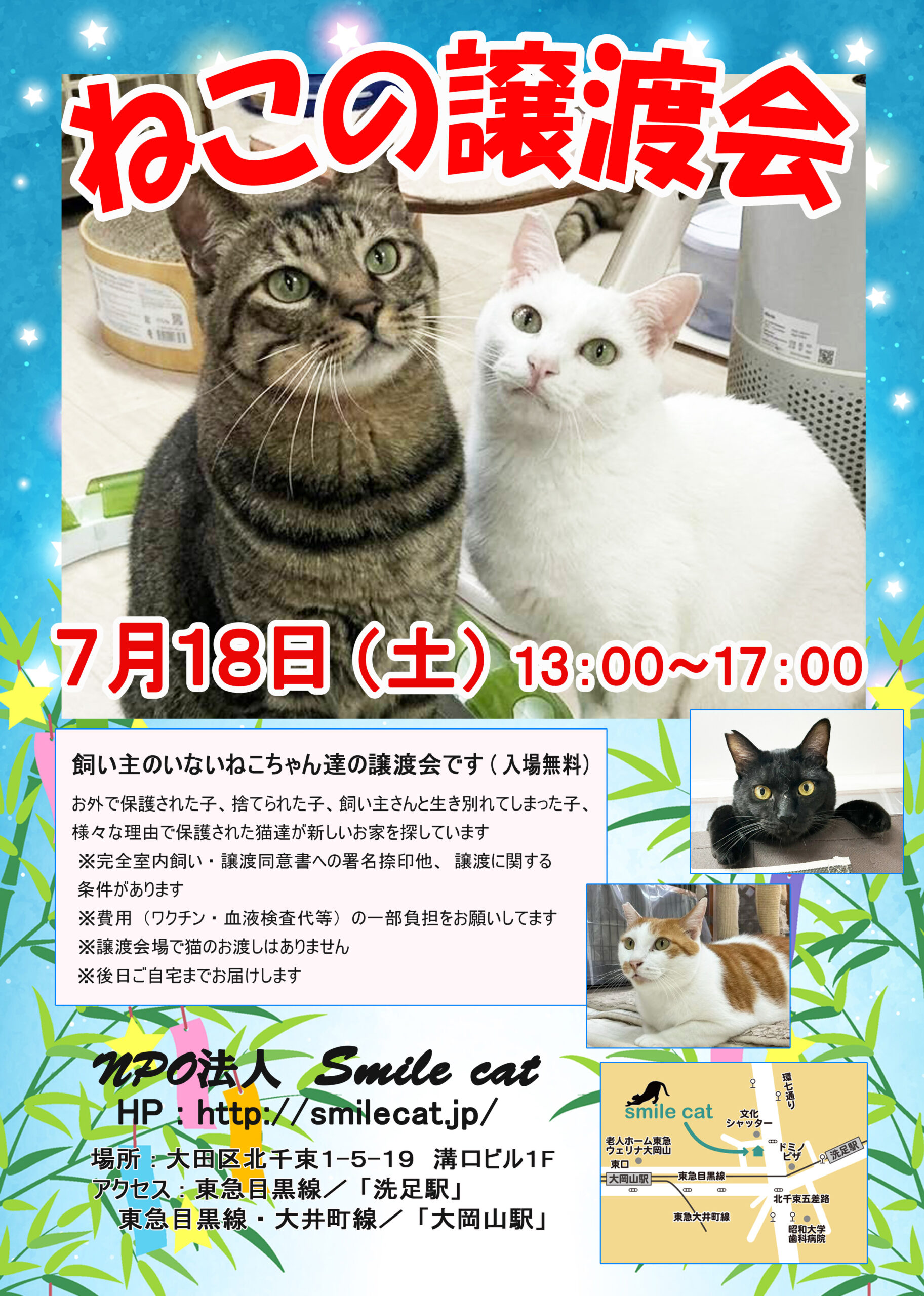 smilecat（スマイルキャット）_ねこの譲渡会開催のお知らせ【７月】