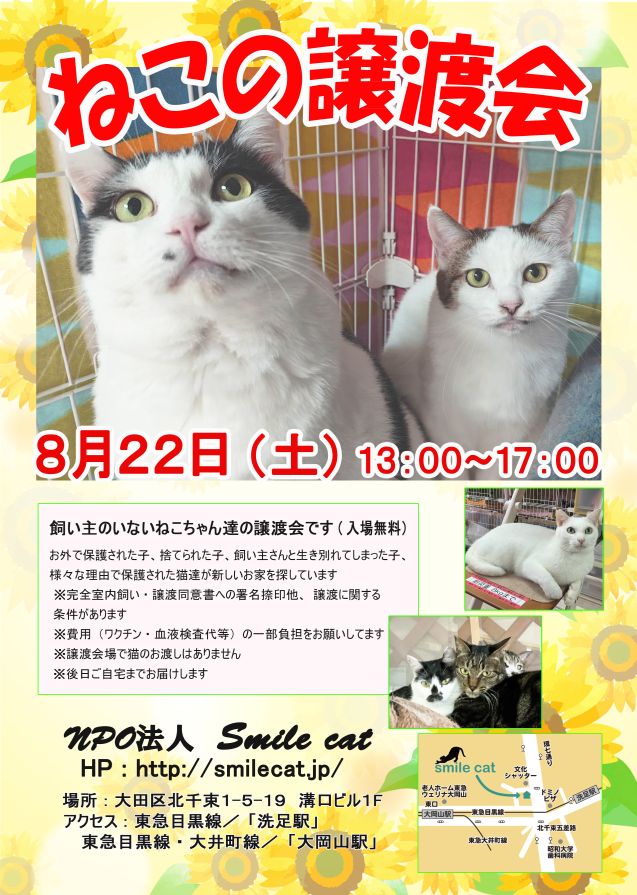 smilecat（スマイルキャット）_ねこの譲渡会開催のお知らせ【８月】